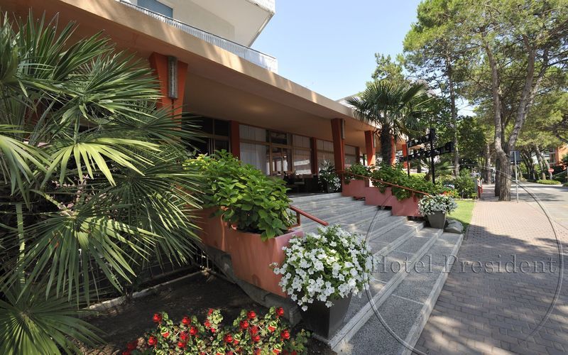 Hotel President Бібіоне Екстер'єр фото